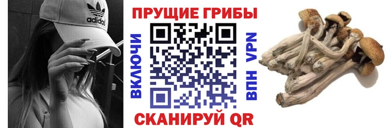 Галлюциногенные грибы ЛСД  мега как войти  Светогорск 